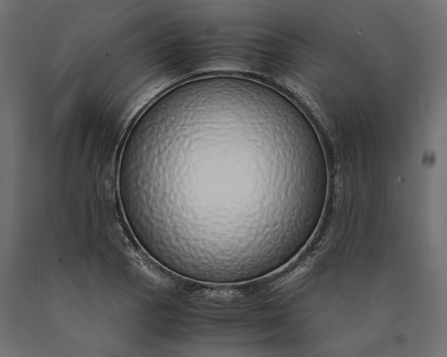 X0000090451129200708031211