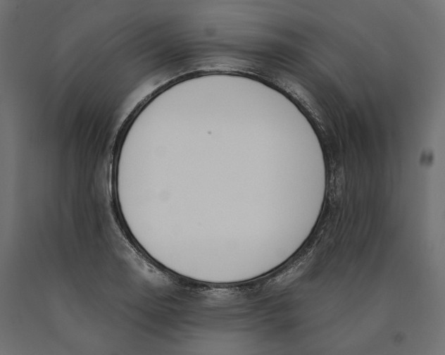 X0000090451130200708031211