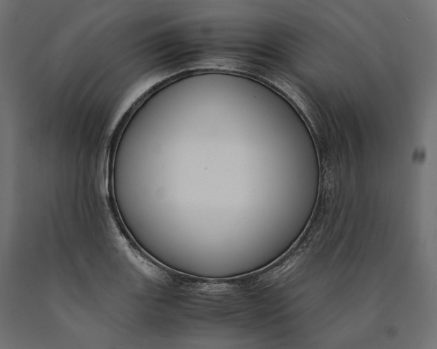 X0000090451131200708031211