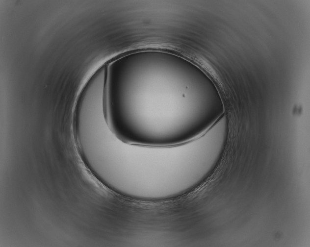 X0000090451132200708031211