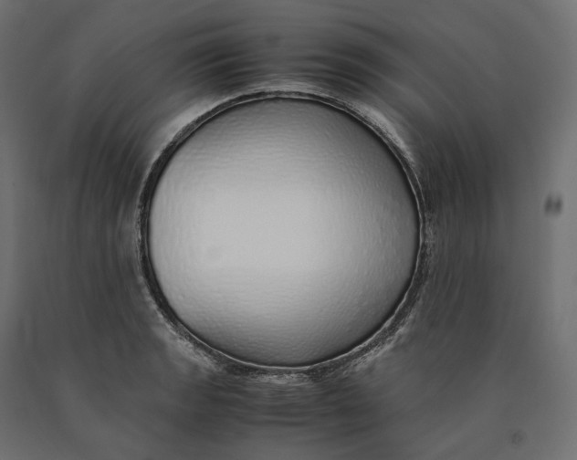 X0000090451133200708031211