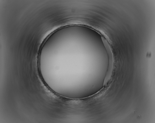 X0000090451134200708031211