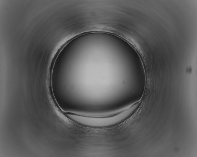 X0000090451136200708031211