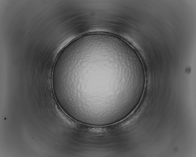 X0000090451137200708031211