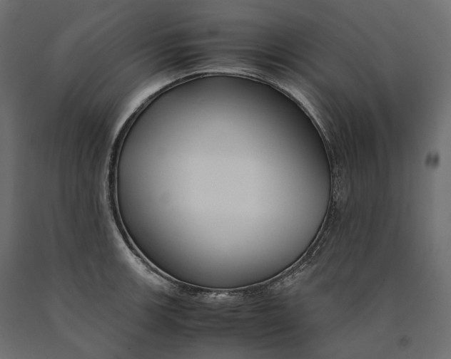 X0000090451139200708031211