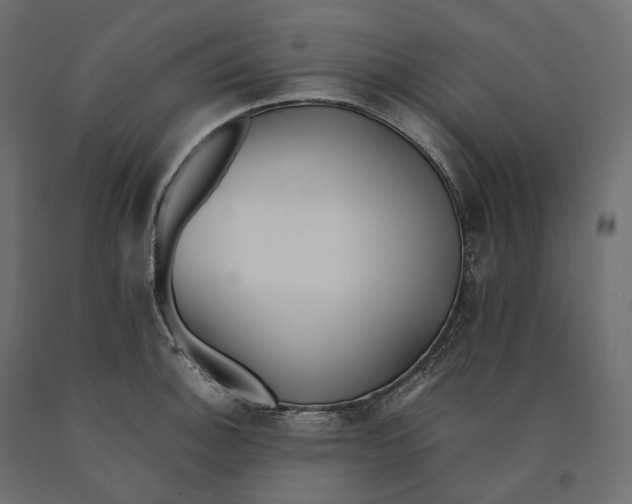 X0000090451140200708031211