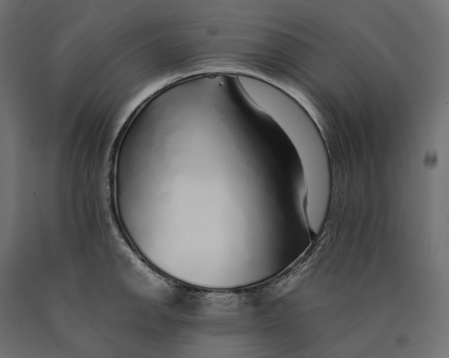 X0000090451142200708031211