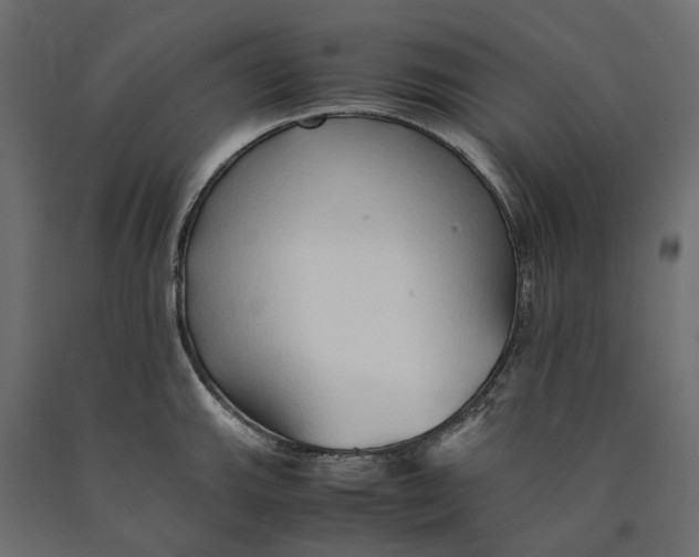 X0000090451143200708031211