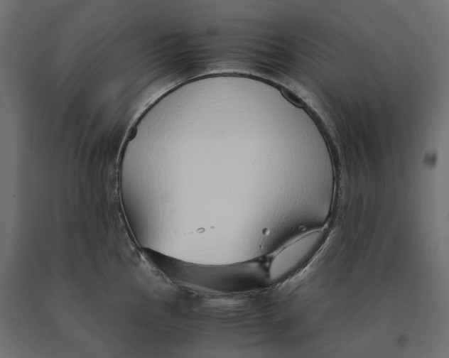 X0000090451145200708031211