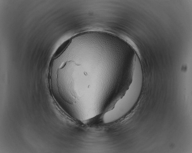 X0000090451146200708031211