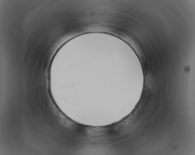 X0000090451150200708031211