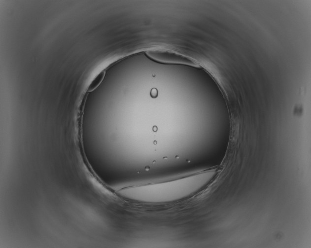 X0000090451151200708031211