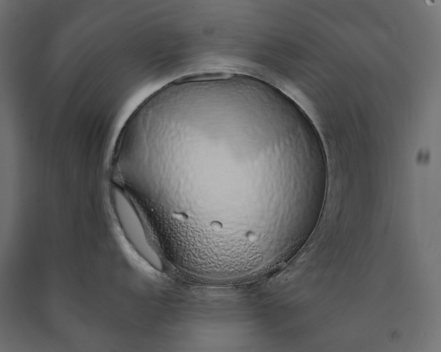 X0000090451152200708031211