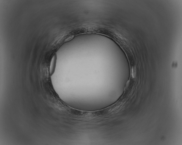 X0000090451155200708031210