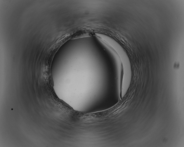 X0000090451156200708031210