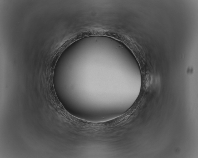 X0000090451157200708031210