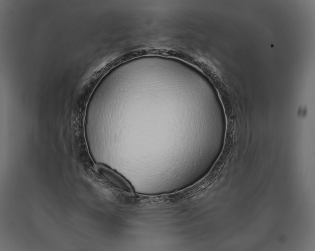 X0000090451159200708031210