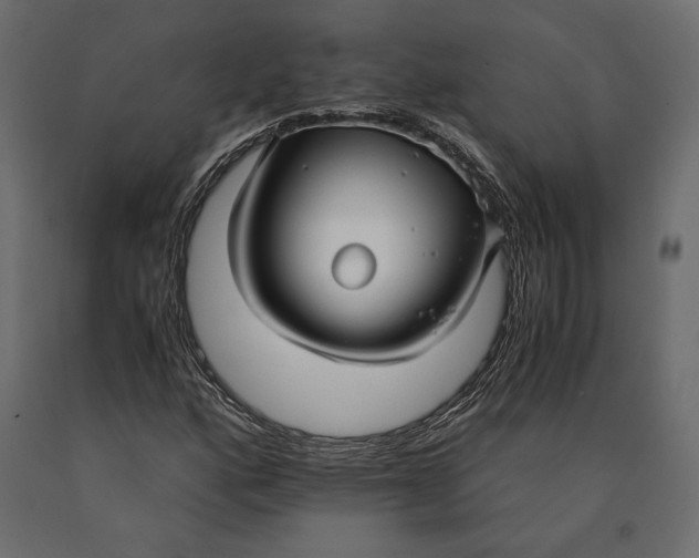 X0000090451160200708031210