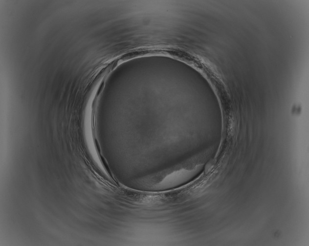 X0000090451161200708031210