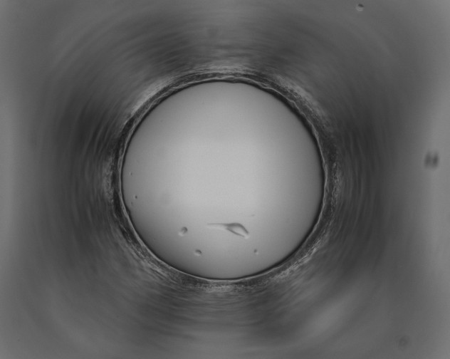 X0000090451162200708031210