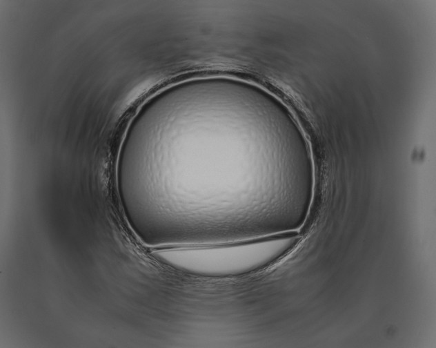 X0000090451163200708031210