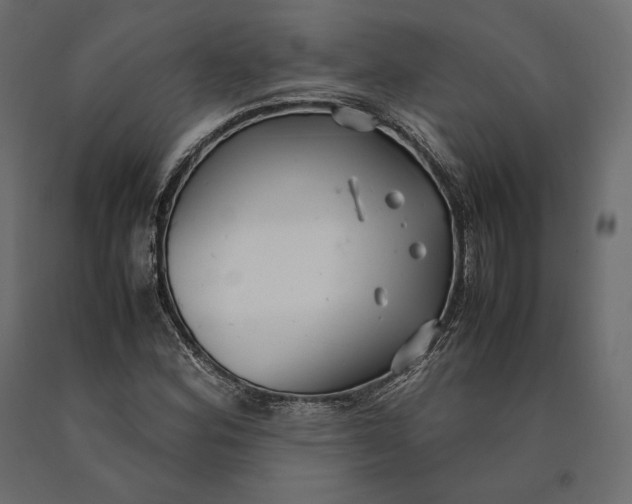 X0000090451164200708031210