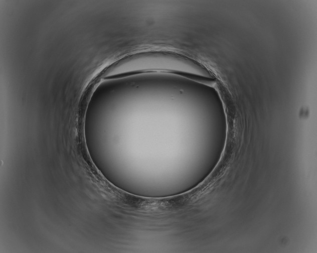 X0000090451165200708031210