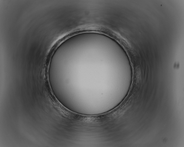 X0000090451166200708031210