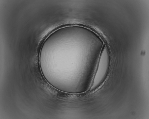 X0000090451167200708031210