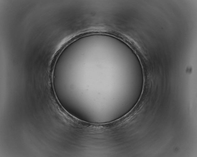 X0000090451168200708031210