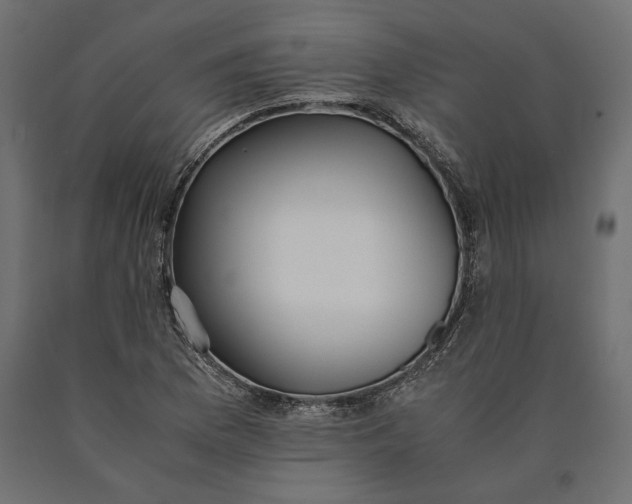 X0000090451169200708031210