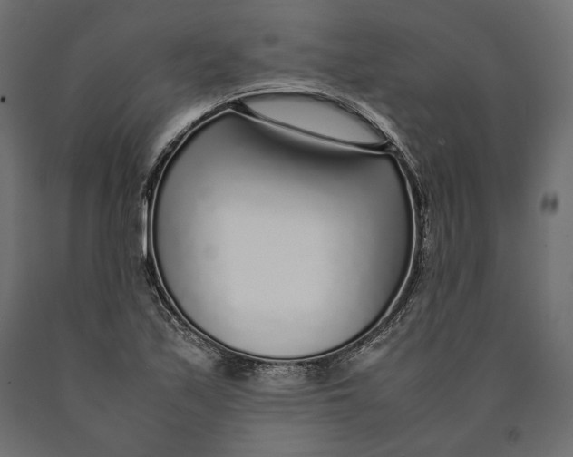 X0000090451171200708031210