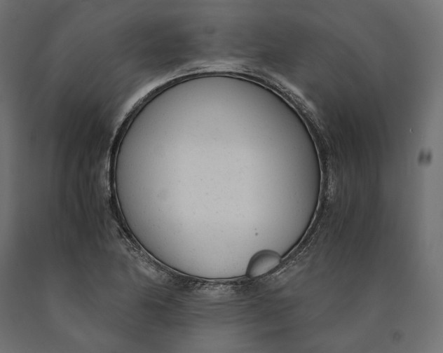 X0000090451174200708031210