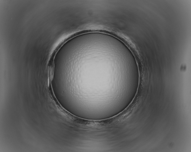 X0000090451175200708031210