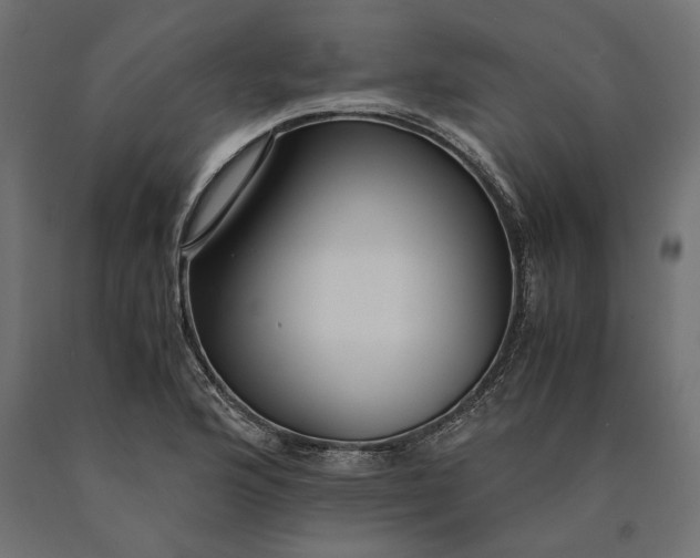 X0000090451176200708031210