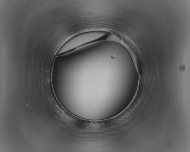 X0000090451177200708031210