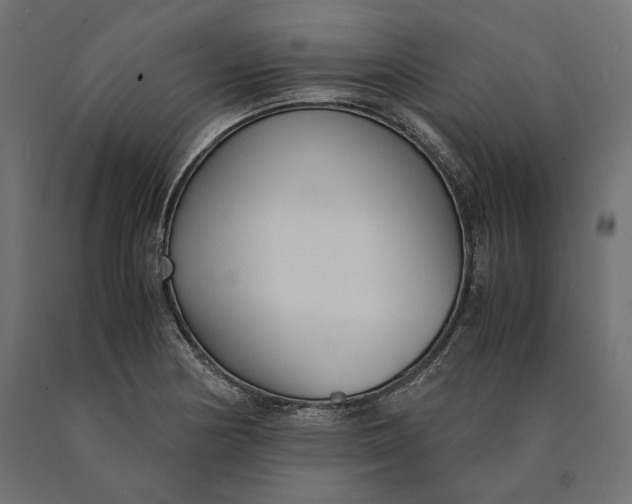 X0000090451178200708031210