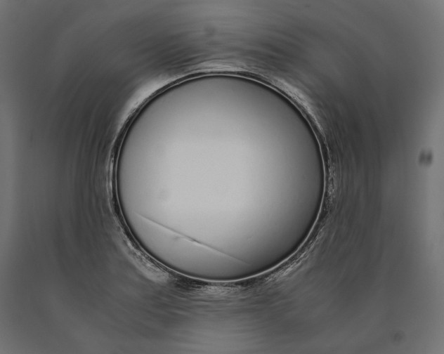 X0000090451179200708031210