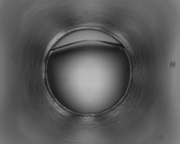 X0000090451180200708031210