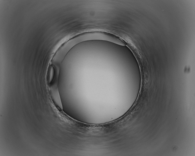 X0000090451181200708031210