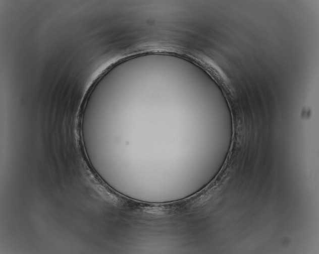 X0000090451182200708031210