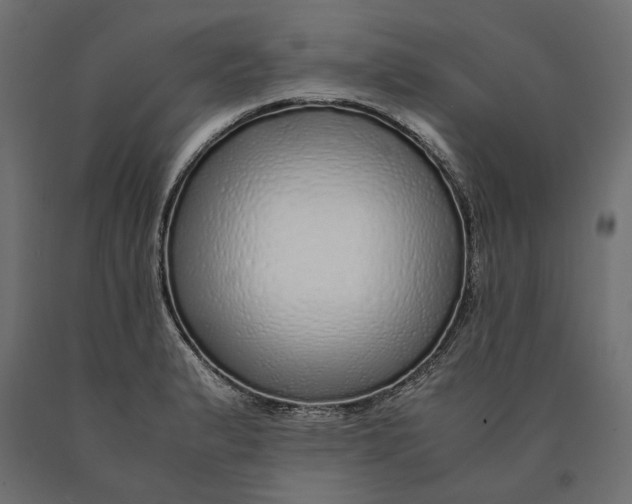 X0000090451183200708031210