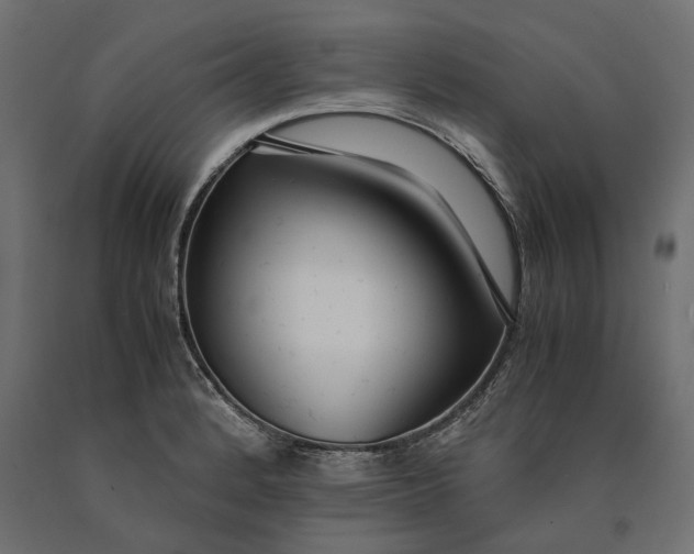 X0000090451184200708031210