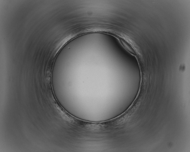 X0000090451185200708031210