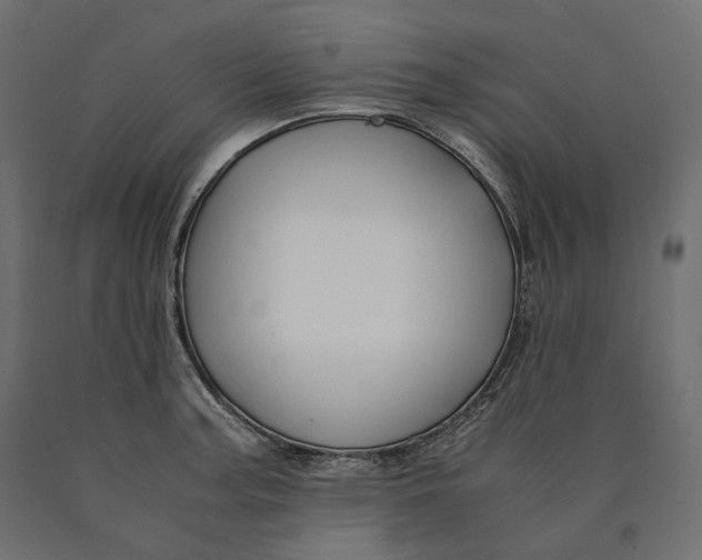 X0000090451187200708031210