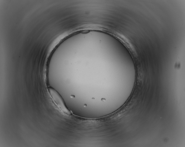 X0000090451188200708031210