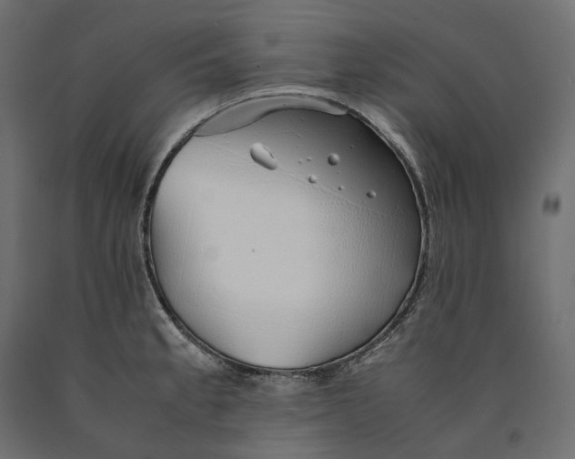 X0000090451189200708031210