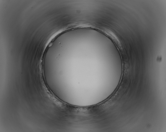 X0000090451190200708031210