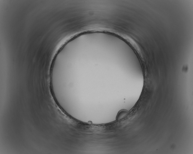 X0000090451191200708031210