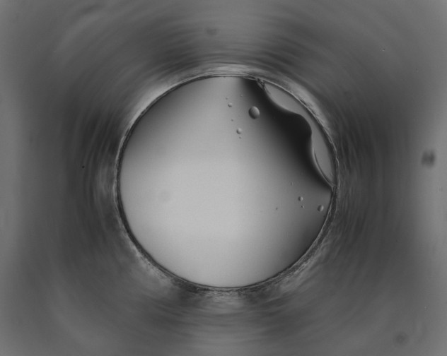 X0000090451194200708031210